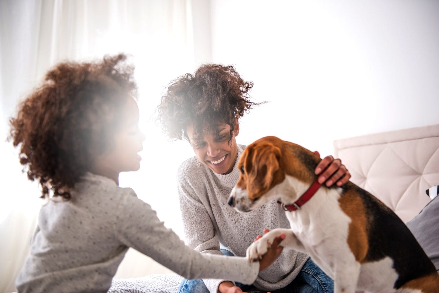 Young african american mother spending time with daughter playing with dog.