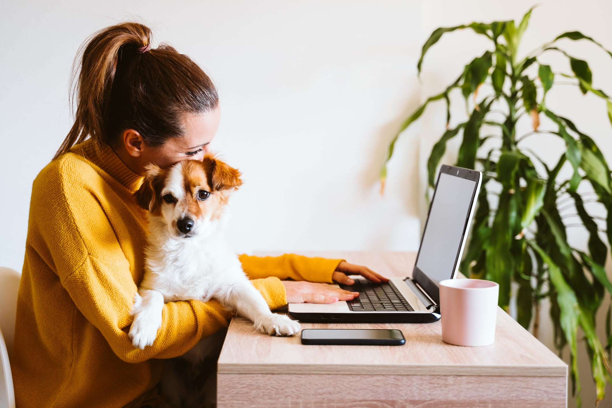 a girl holding a dog while using a laptop